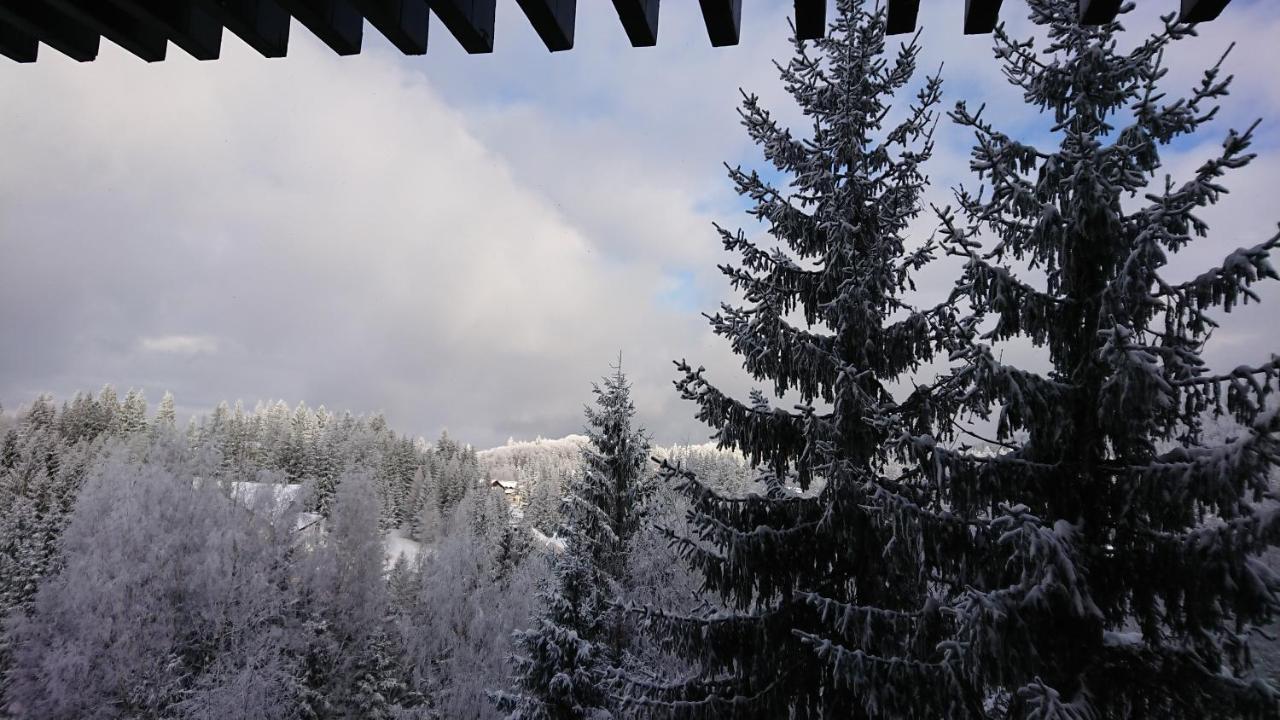 Apartament 2706 Alpin Resort, Etaj 7, Poiana Brașov Zewnętrze zdjęcie