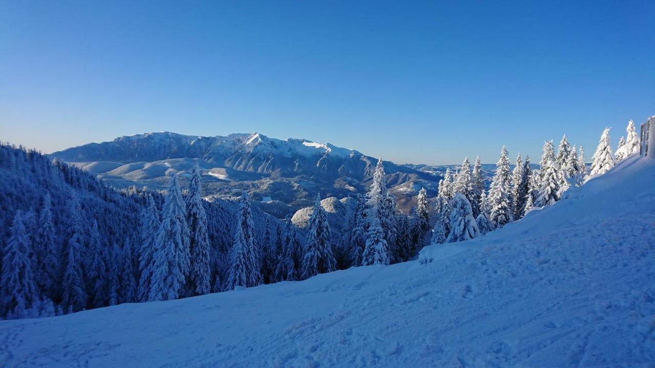 Apartament 2706 Alpin Resort, Etaj 7, Poiana Brașov Zewnętrze zdjęcie