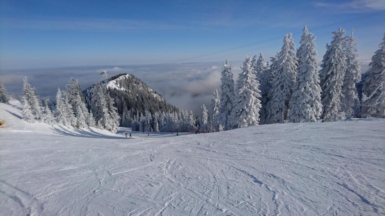 Apartament 2706 Alpin Resort, Etaj 7, Poiana Brașov Zewnętrze zdjęcie