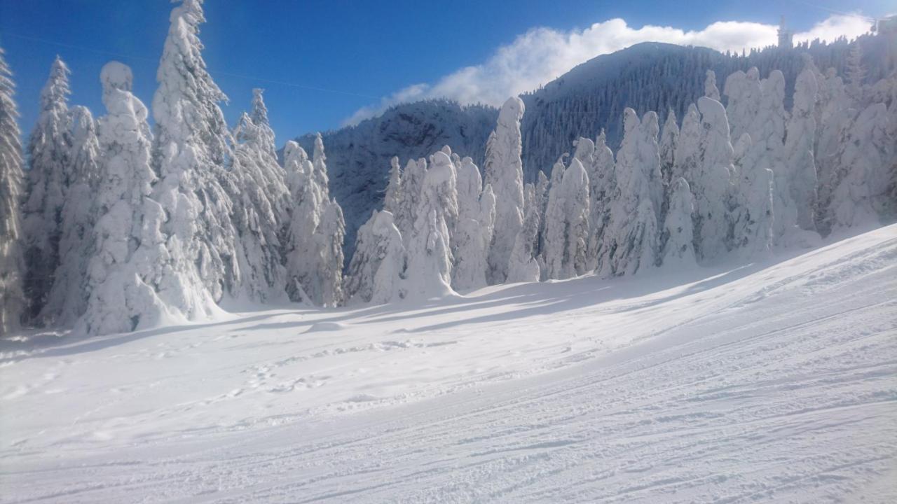 Apartament 2706 Alpin Resort, Etaj 7, Poiana Brașov Zewnętrze zdjęcie