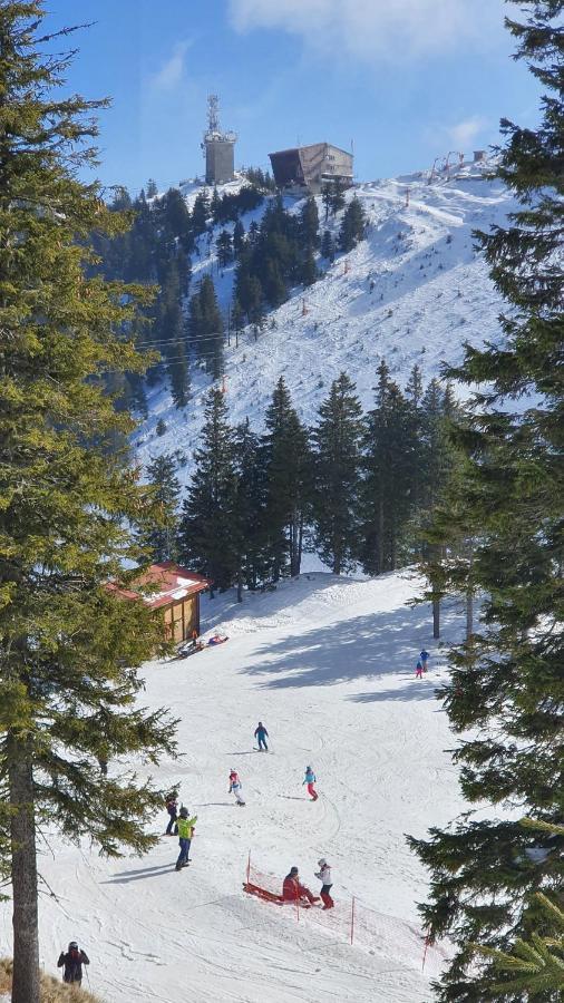 Apartament 2706 Alpin Resort, Etaj 7, Poiana Brașov Zewnętrze zdjęcie